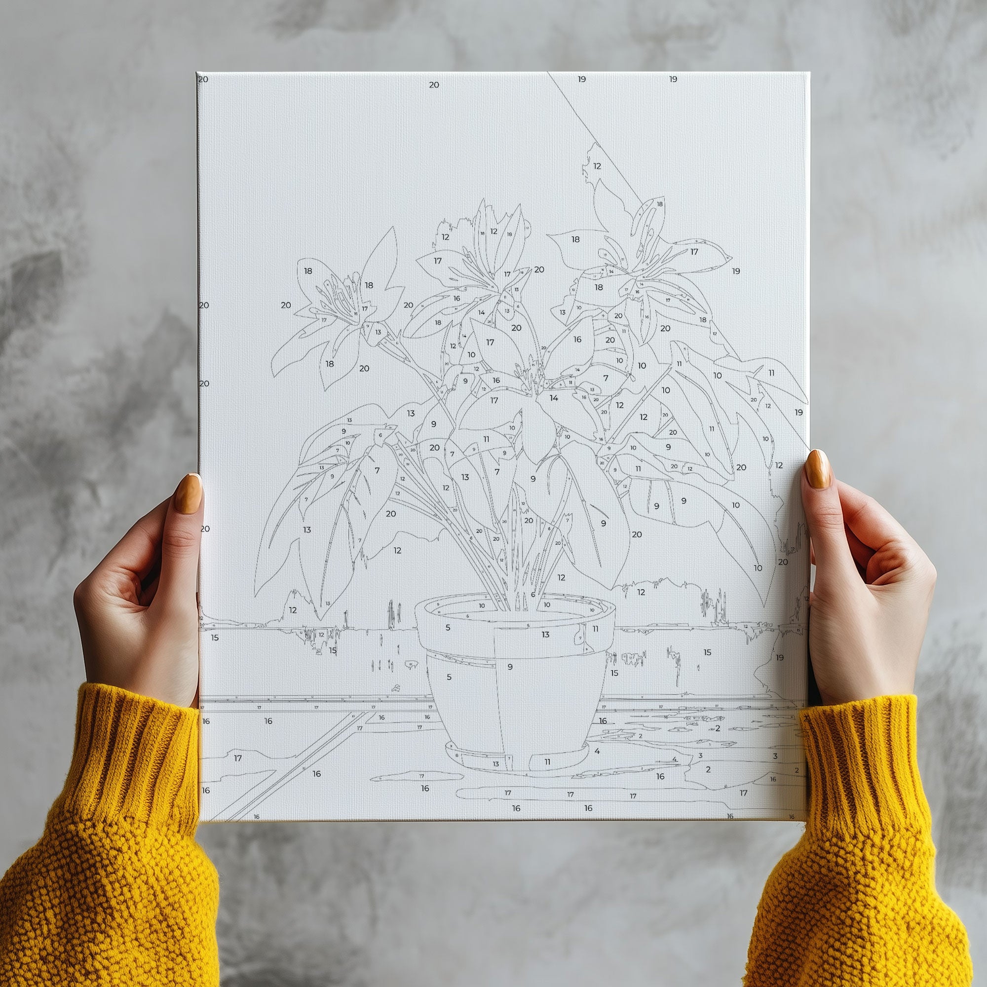 Obraz Po Numerach „Bílé květiny v květináči“ – pokojové rostliny, minimalistický styl