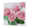 Rožinės Rožės (Ch0820)