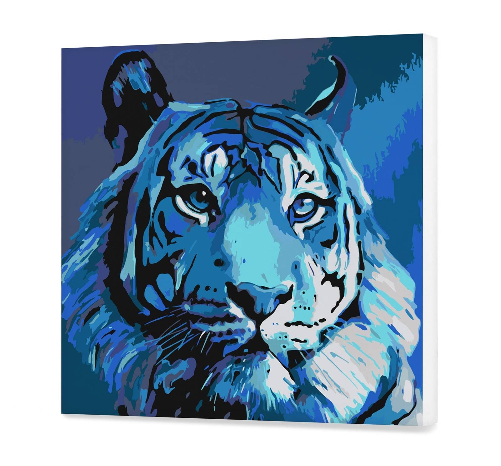 Blue Tiger (CH0799)