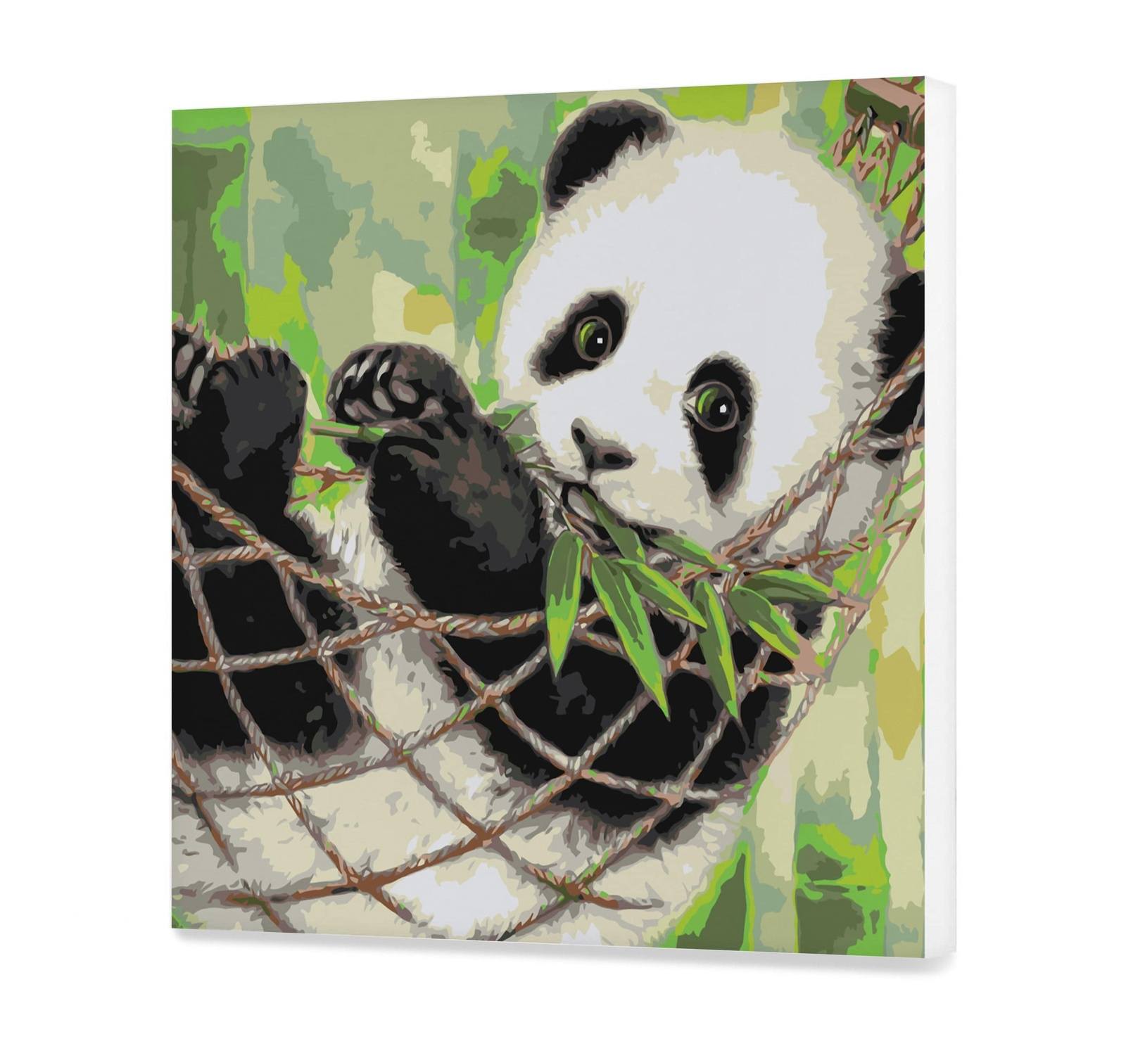 Netter Panda (CDC0171)