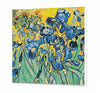 Iris Van Gogh (Pc0612)
