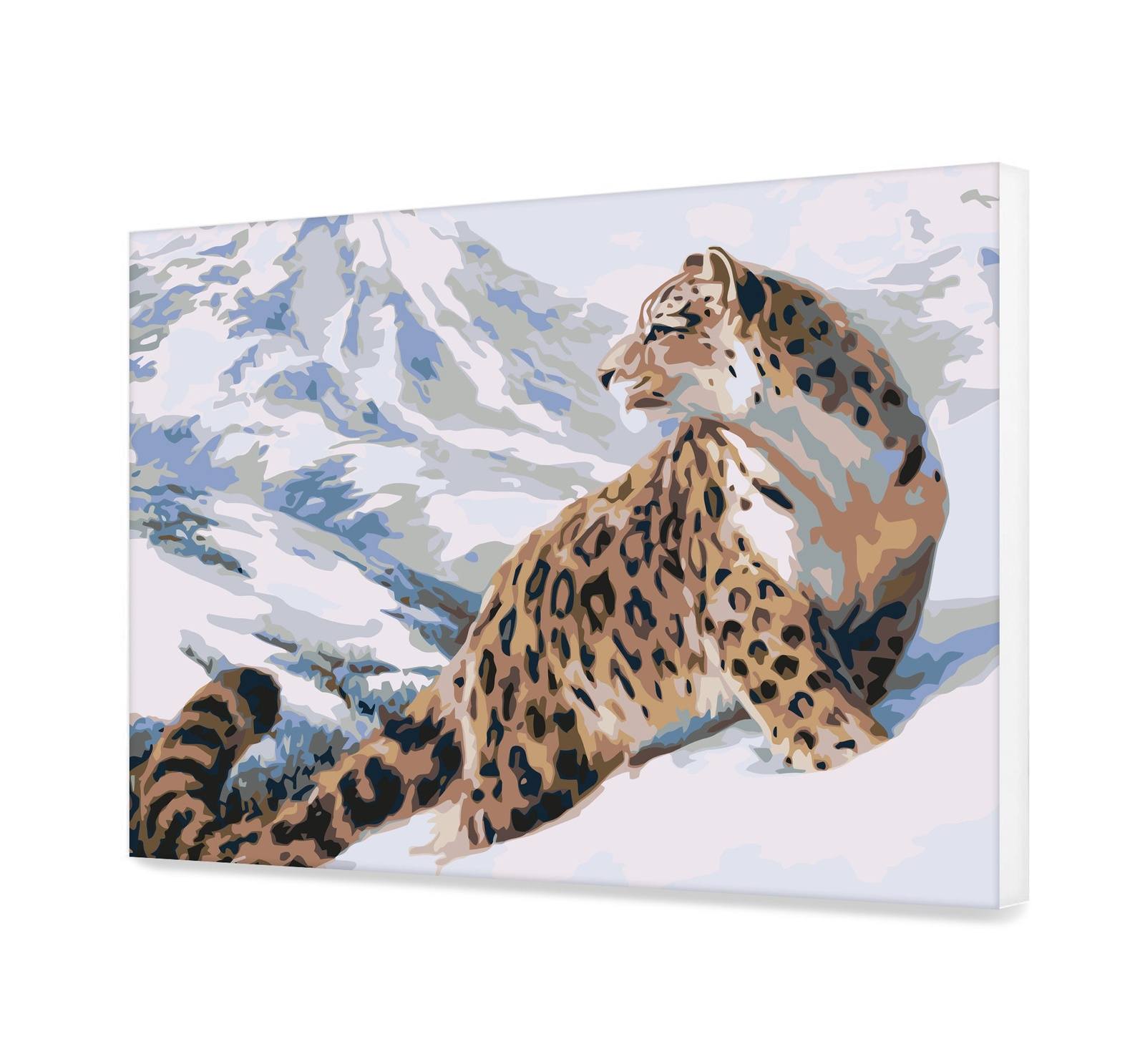 Sniego Leopardas