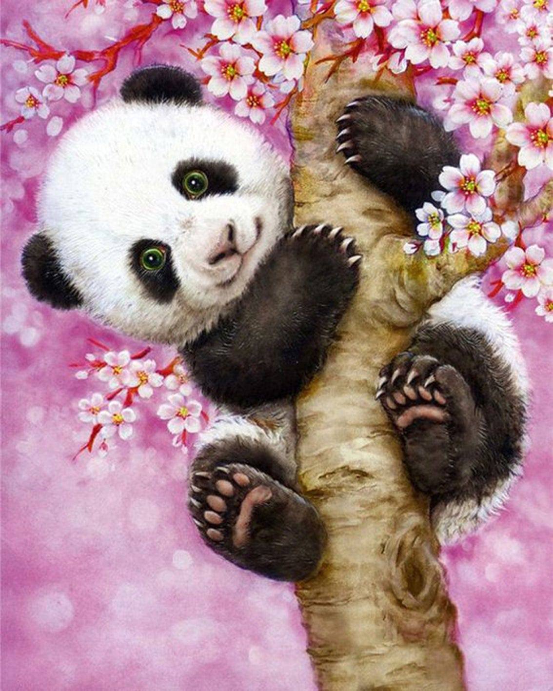 Mosaico - Panda Bebe - 40X50cm